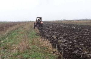 Veste buna pentru fermierii din Romania: De la 1 octombrie vin banii!