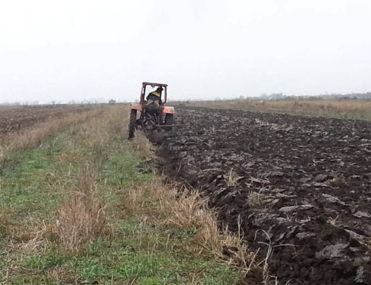 Veste buna pentru fermierii din Romania: De la 1 octombrie vin banii!