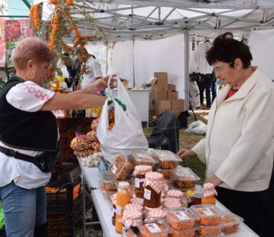 O familie din Alba face bani frumosi din vanzarea de catina: Munca putina, profit bun!