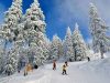 Cat costa sa-ti faci vacanta de iarna la Poiana Brasov? Ca-n Austria!