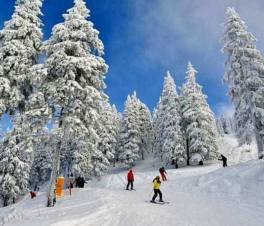 Cat costa sa-ti faci vacanta de iarna la Poiana Brasov? Ca-n Austria!