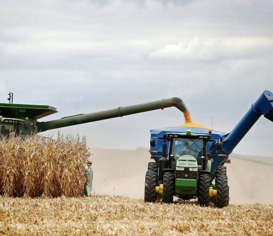 Dauna totala: Fermierii acuză că sprijinul acordat Ucrainei înseamnă dispariția fermierilor români