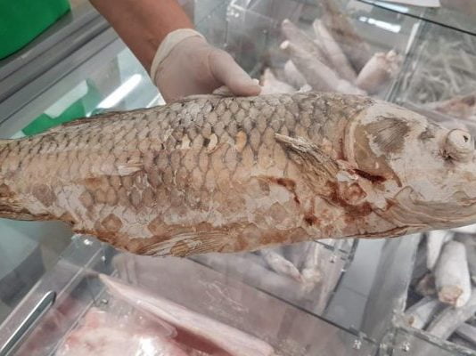 De ce nu mai merg romanii pe litoral: Mancare expirata de trei ani oferita turistilor si patroni pusi pe scandal!