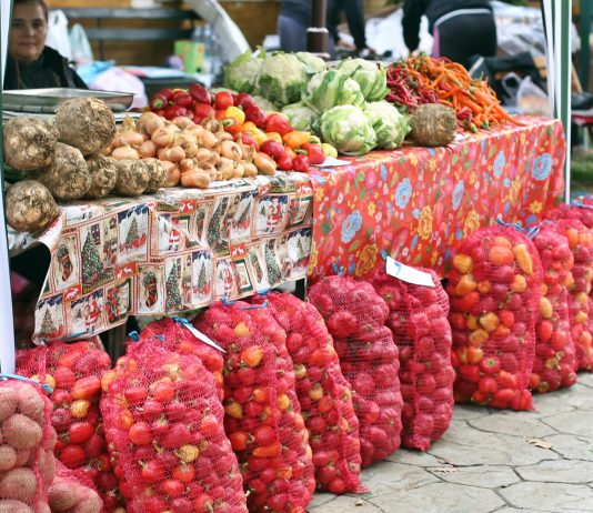 ”E jale! An cumplit ca acesta nu a întâlnit din 1991” – Producatorii de legume sunt disperati!