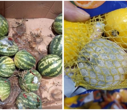 Legume mucegăite si produse ținute lângă gândaci: Controale ale Protectiei Consumatorului in magazinele Penny