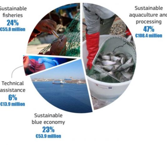 Romania va primi fonduri europene pentru pescuit, afaceri maritime si acvacultura