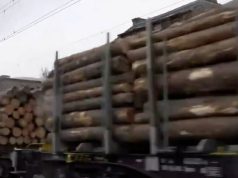 VIDEO – HMS Timber aduce din Germania si Finlanda mii de trenuri cu busteni in Romania pentru prelucrare