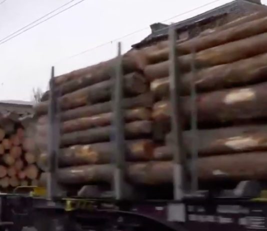 VIDEO – HMS Timber aduce din Germania si Finlanda mii de trenuri cu busteni in Romania pentru prelucrare