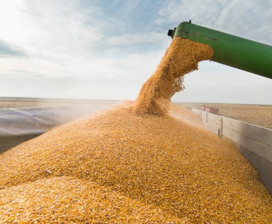Revolta in Europa impotriva cerealelor ucrainene: cinci țări din UE, printre care și România, cer interzicerea produselor agricole ucrainene
