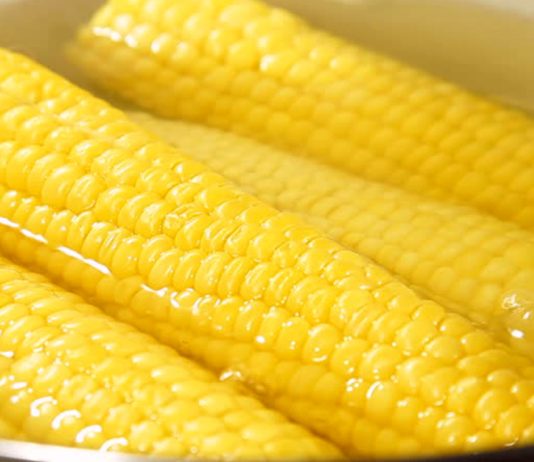 Autoritatile din Olanda avertizeaza populatia sa NU manace porumb romanesc