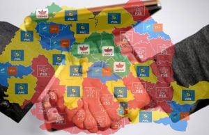 Companiile de stat sunt niște organizații asuprite de mediul politic
